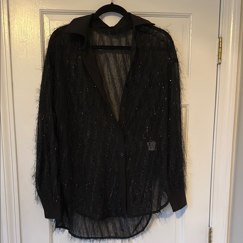 Black Sheer Button-Up Shirt